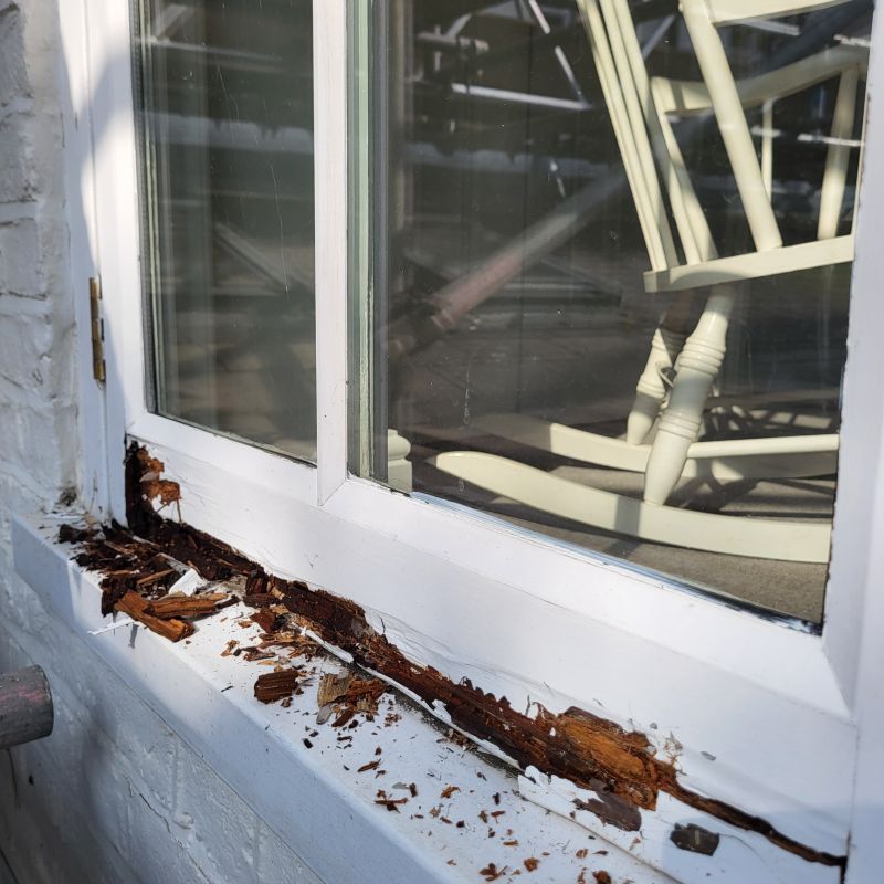 Decay Repair Service in Littleton, CO