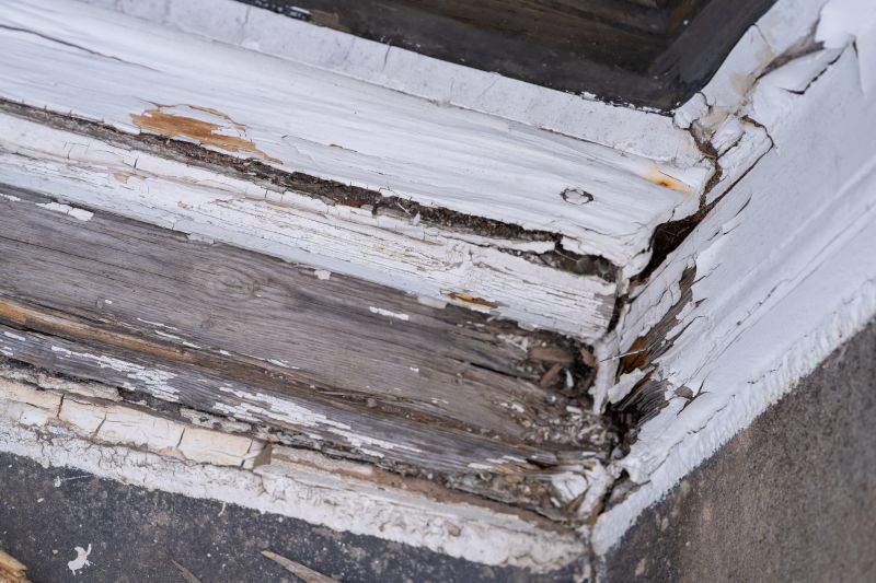 Decay Repair Service in Littleton, CO