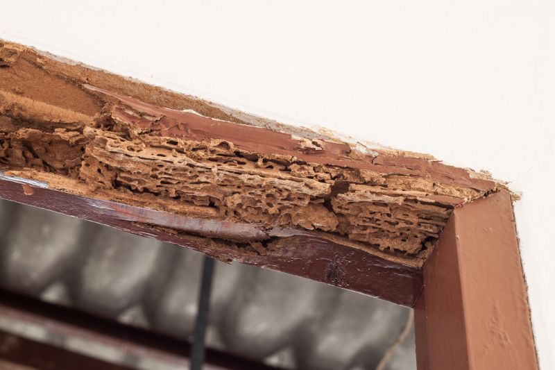 Decayed Wood Replacement in Wilmington, NC
