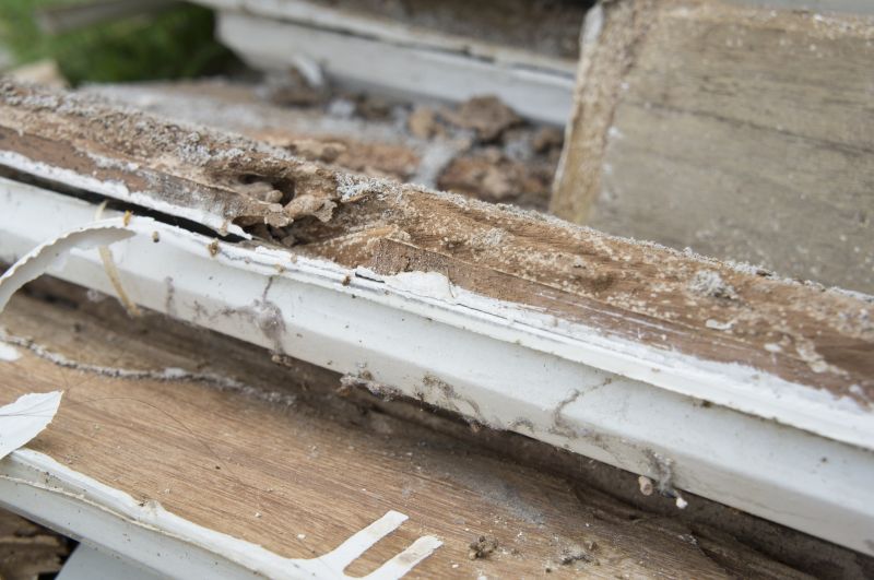 Dry Rot Remediation in Overland Park, KS