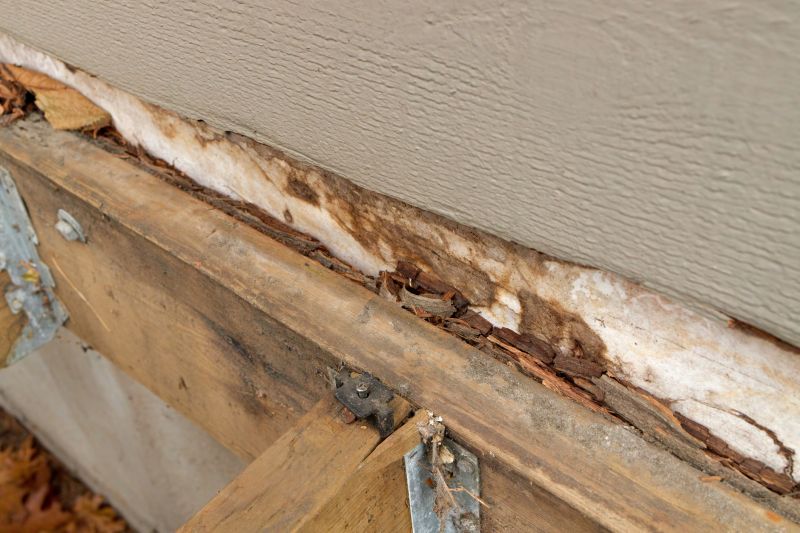 Dry Rot Remediation in Kansas City, KS