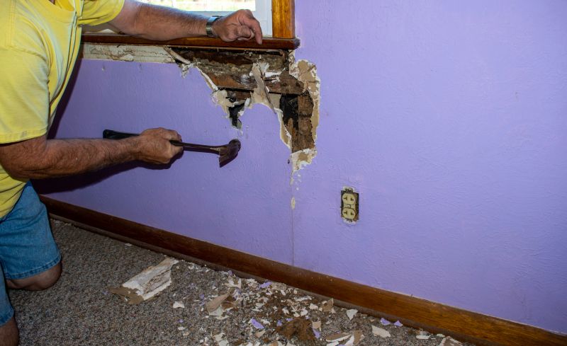 Pest Damage Repair in Indianapolis, IN