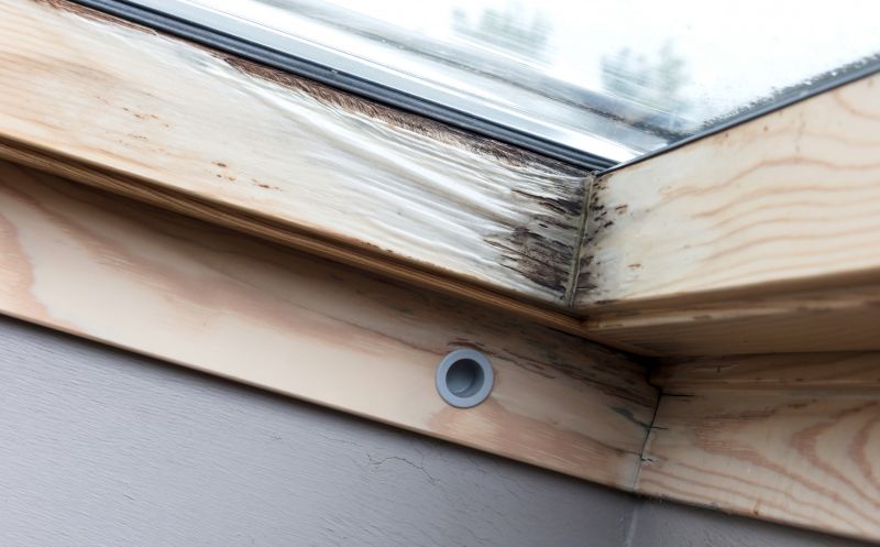 Rot Repair Service in Denver, CO