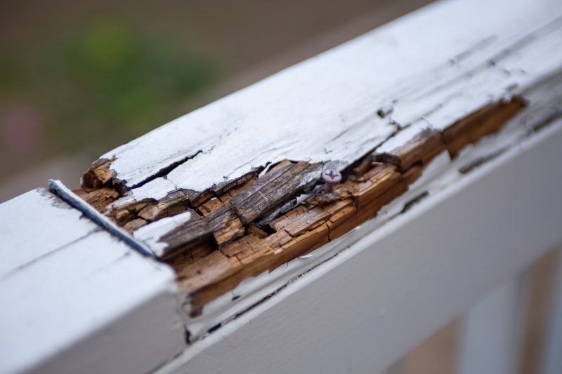 Rot Repair Service in Wilmington, NC