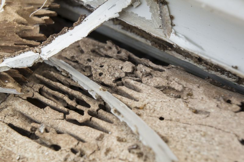 Rotten Wood Repair in Boulder, CO