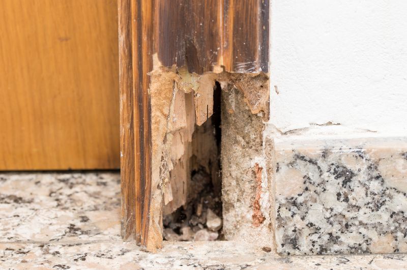 Termite Damage Repair Service in Wilmington, NC