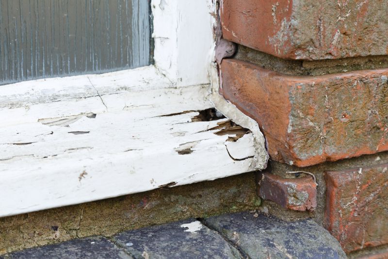 Window Rot Repair in Arvada, CO