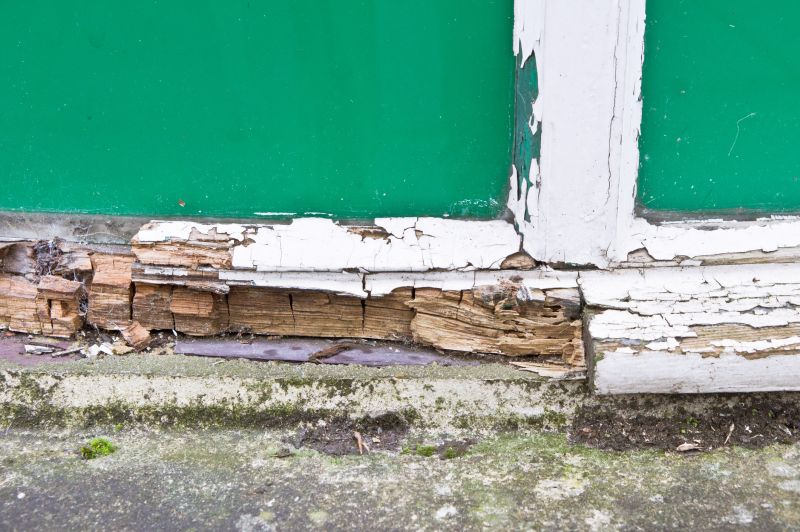 Window Rot Repair in Wilmington, NC