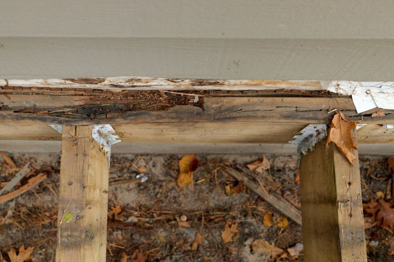 Wood Decay Removal in Kansas City, KS