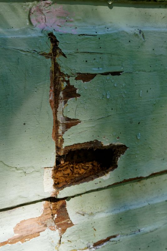 Wood Decay Repair in Roswell, GA