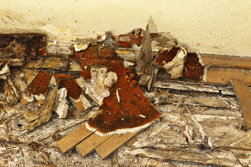 Wood Decay Repair in Olathe, KS