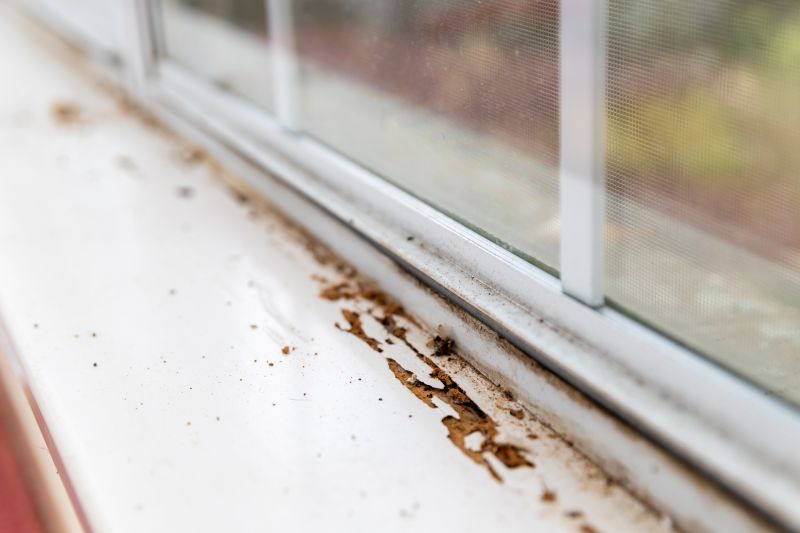 Window Rot Repair in Kansas City, KS